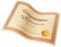 Warranty and Return Policy